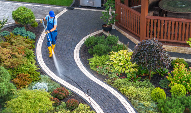 Best Best Pressure Washing Companies  in Middletown, MD
